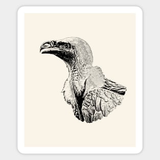 Vulture Sticker